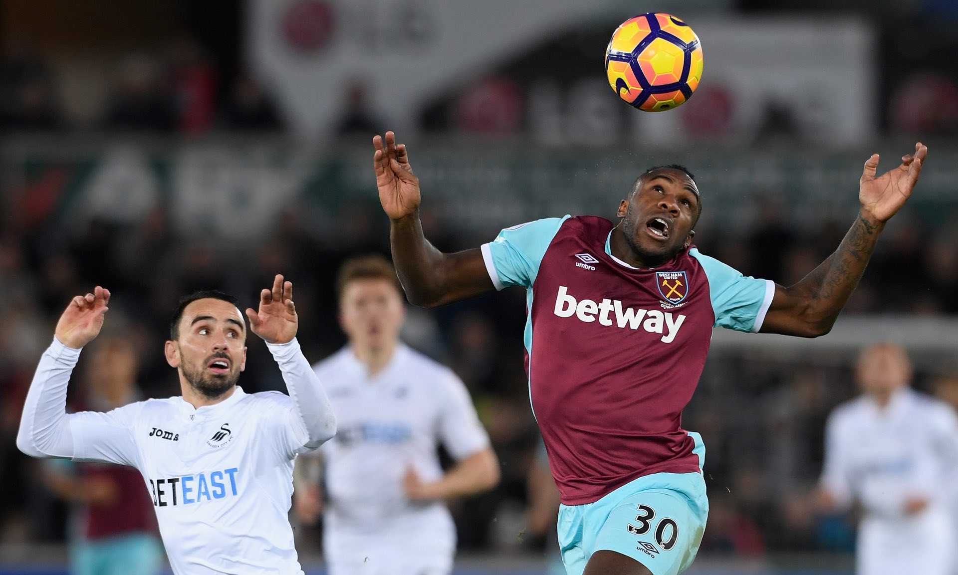 得了教练组 得了教练组